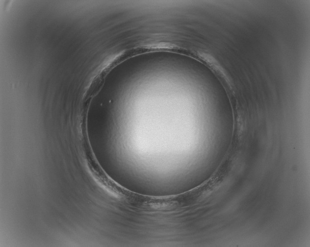 X0000054410533200508121728