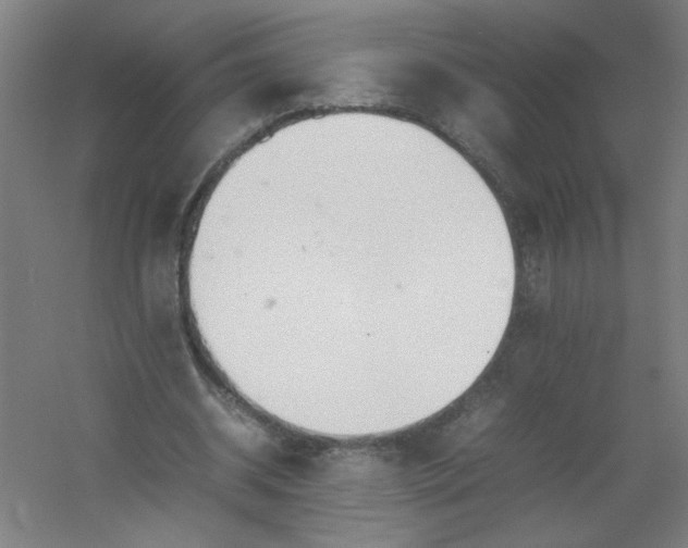 X0000054410534200508121728