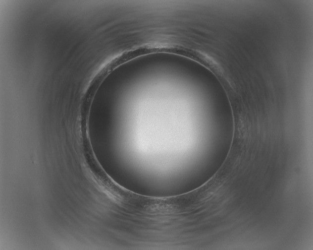 X0000054410535200508121728