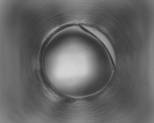 X0000054410536200508121728