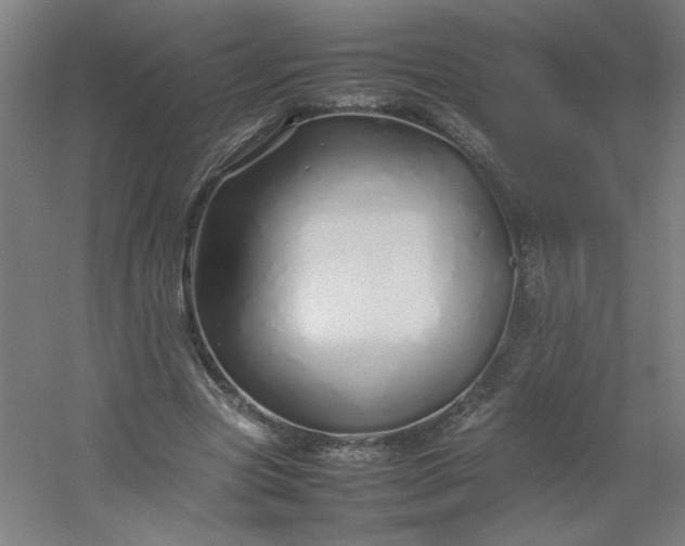 X0000054410537200508121728