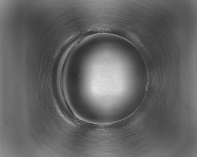 X0000054410538200508121728