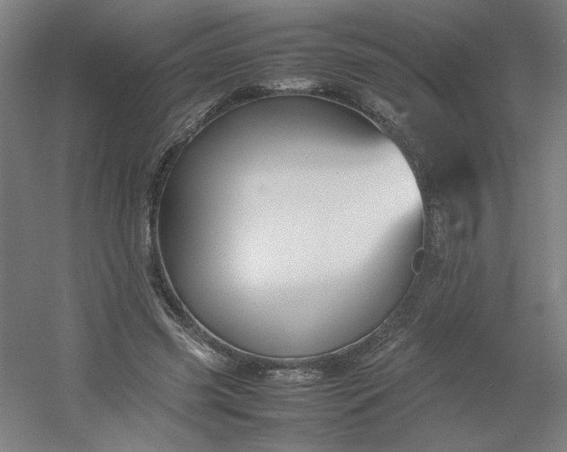 X0000054410541200508121728