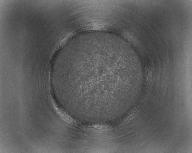 X0000054410542200508121728