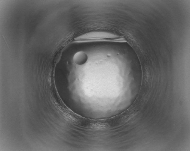 X0000054410545200508121728