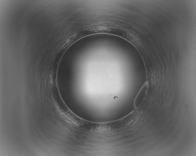 X0000054410546200508121728