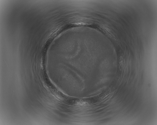 X0000054410547200508121728