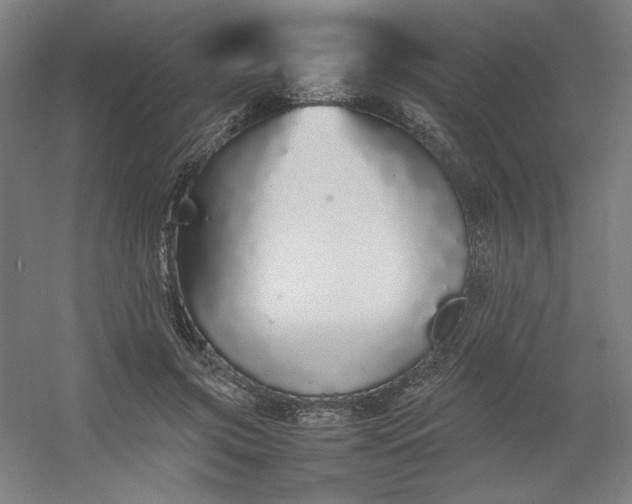 X0000054410549200508121728