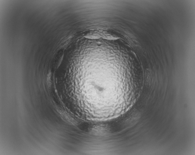 X0000054410550200508121728