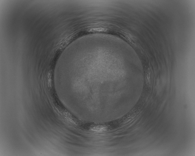 X0000054410551200508121728