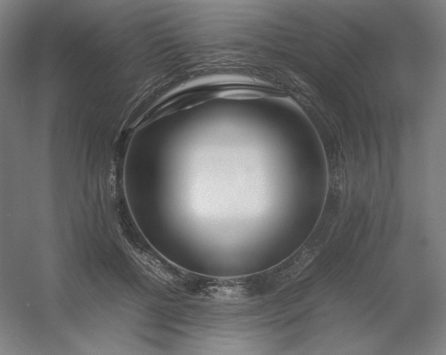 X0000054410552200508121728