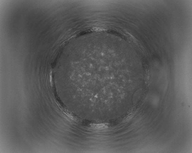 X0000054410553200508121728