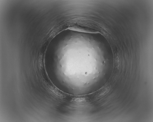 X0000054410554200508121728