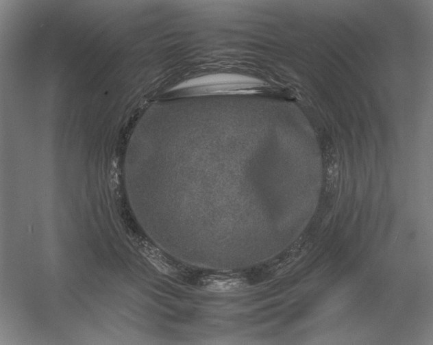 X0000054410555200508121728