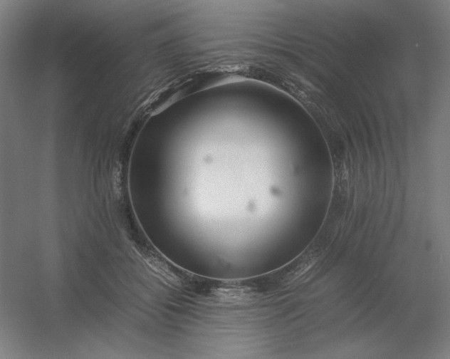 X0000054410556200508121728