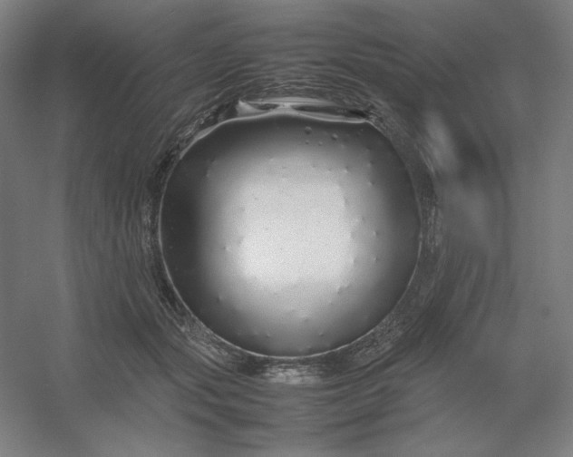 X0000054410557200508121728