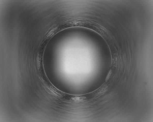 X0000054410558200508121728