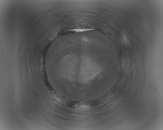 X0000054410559200508121728