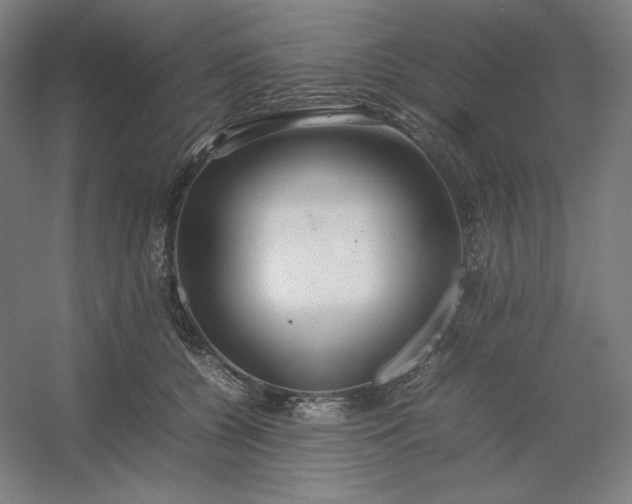 X0000054410560200508121728