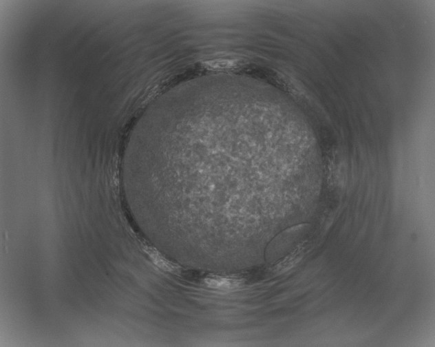 X0000054410561200508121728