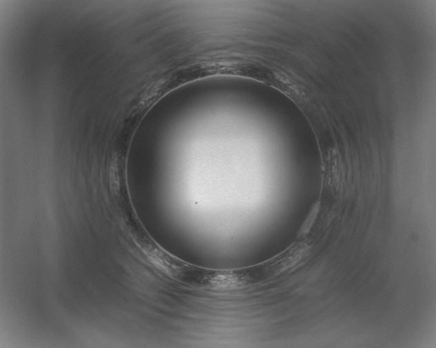 X0000054410562200508121728