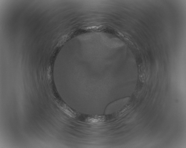 X0000054410563200508121728