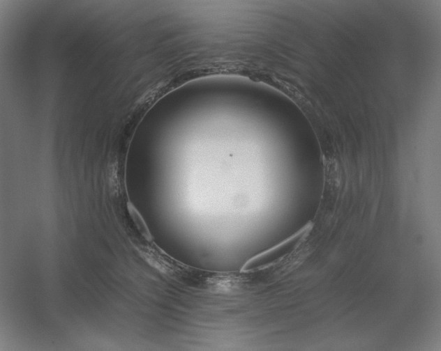 X0000054410564200508121728