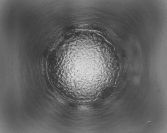 X0000054410565200508121728