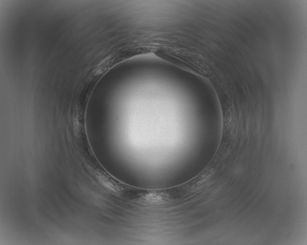 X0000054410566200508121728