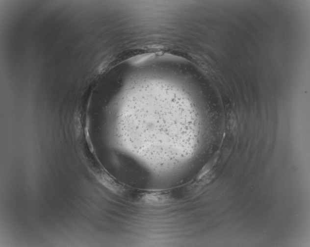 X0000054410568200508121728