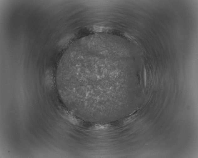 X0000054410569200508121728