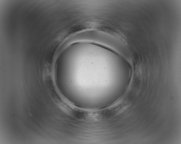 X0000054410570200508121728