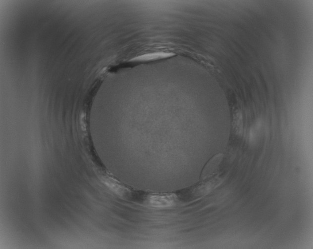 X0000054410571200508121728