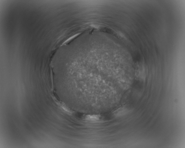 X0000054410573200508121728