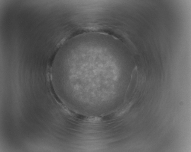 X0000054410576200508121728