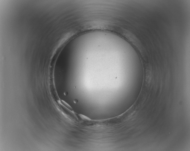 X0000054410578200508121727