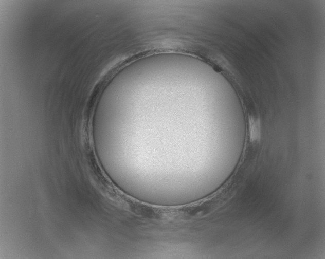 X0000054410579200508121727