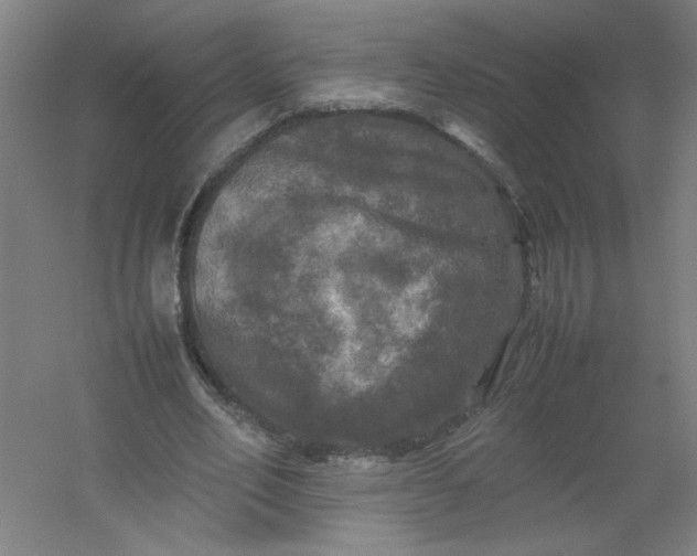 X0000054410582200508121727