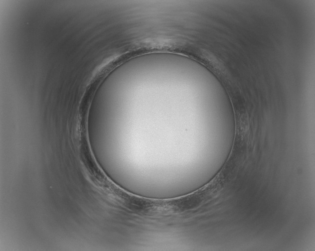 X0000054410583200508121727