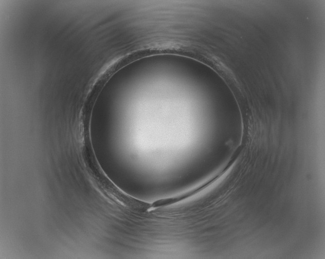 X0000054410584200508121727