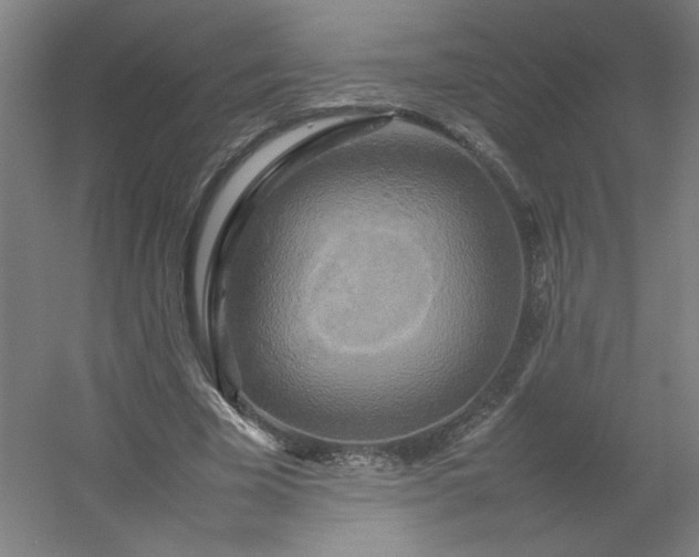 X0000054410585200508121727