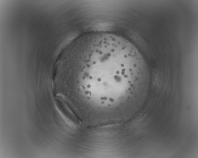 X0000054410586200508121727