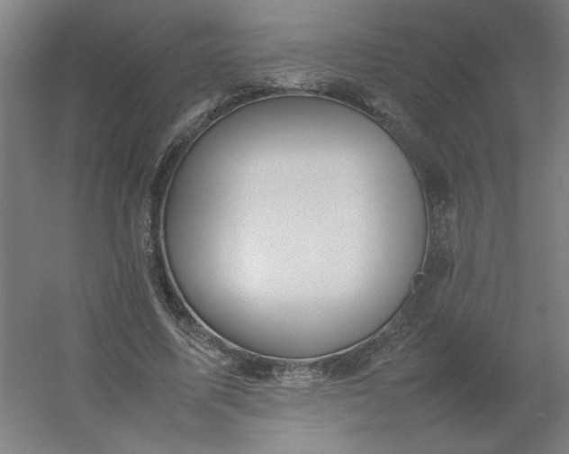 X0000054410587200508121727