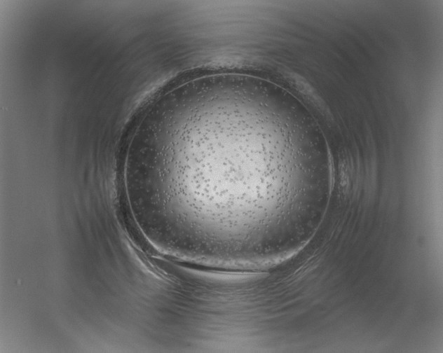 X0000054410588200508121727