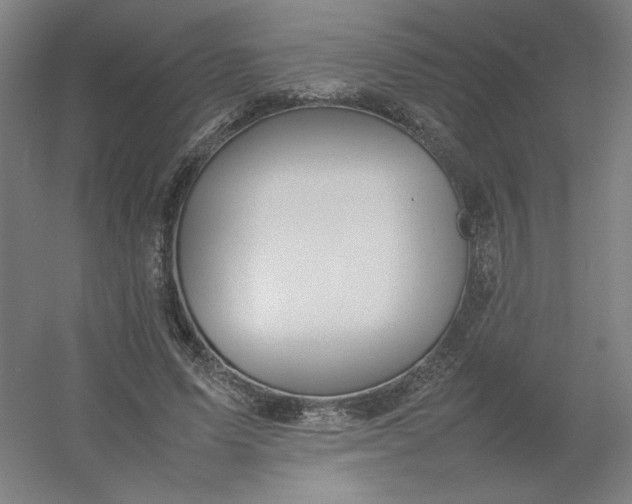 X0000054410591200508121727