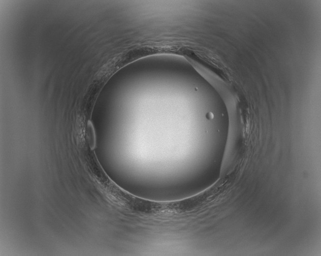 X0000054410593200508121727