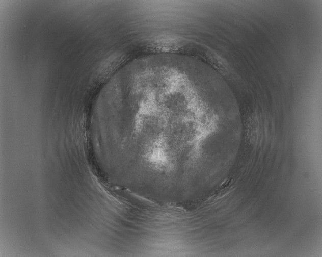 X0000054410594200508121727