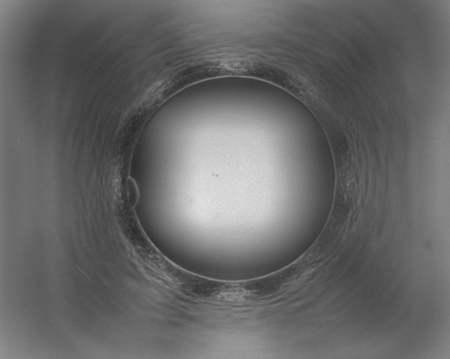 X0000054410595200508121727