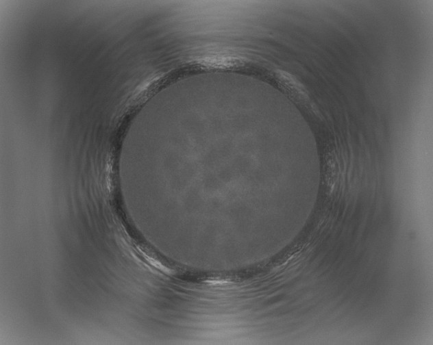 X0000054410596200508121727