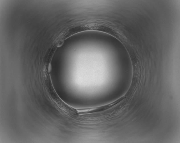 X0000054410597200508121727